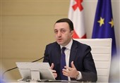 گاریباشویلی قطعنامه پارلمان اروپا علیه گرجستان را رد کرد