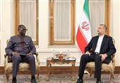 İran&apos;ın Orta Afrika Cumhuriyeti İle İlişkileri Geliştirme Hazırlığı