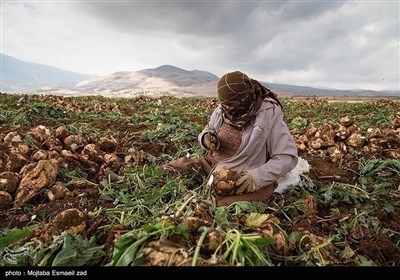 روز جهانی کار و کارگر