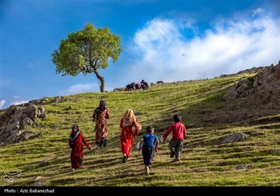 کوچ ییلاقی عشایر حسنوند لرستان و یارام طاقلو همدان از جنوب لرستان تا شمال لرستان