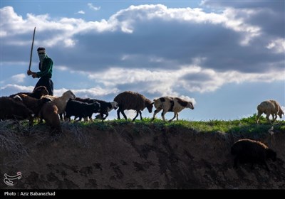 کوچ ییلاقی عشایر حسنوند لرستان و یارام طاقلو همدان از جنوب لرستان تا شمال لرستان