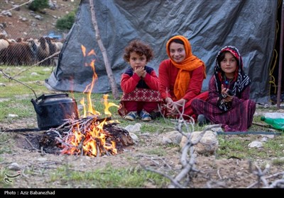 کوچ ییلاقی عشایر حسنوند لرستان و یارام طاقلو همدان از جنوب لرستان تا شمال لرستان