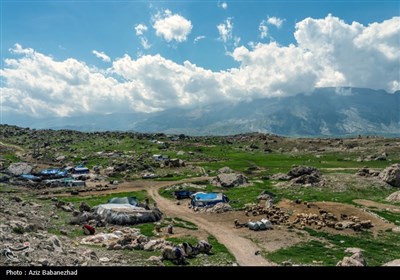 کوچ ییلاقی عشایر حسنوند لرستان و یارام طاقلو همدان از جنوب لرستان تا شمال لرستان