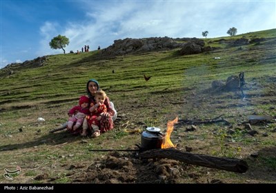 کوچ ییلاقی عشایر حسنوند لرستان و یارام طاقلو همدان از جنوب لرستان تا شمال لرستان