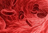 Researchers Discover Enzymes Advancing Universal Blood Donor Development