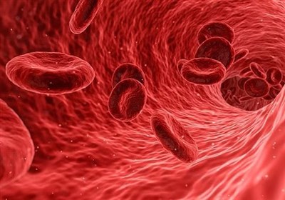 Researchers Discover Enzymes Advancing Universal Blood Donor Development