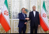 Iran Cautions IAEA against US Influence