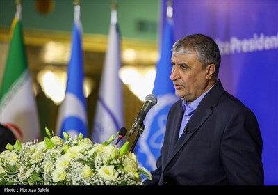 محمد اسلامی، رئیس سازمان انرژی اتمی