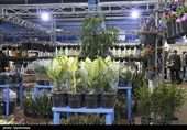 چهارمین نمایشگاه گلخانه‌سازی، گل و گیاه چهارمحال و بختیاری