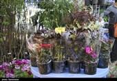 چهارمین نمایشگاه گلخانه‌سازی، گل و گیاه چهارمحال و بختیاری