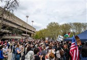 Protests Escalate across US As Demonstrators Target University Trustees (+Video)