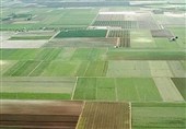 حدنگاری بیش از 9 میلیون هکتار اراضی کشاورزی در کشور