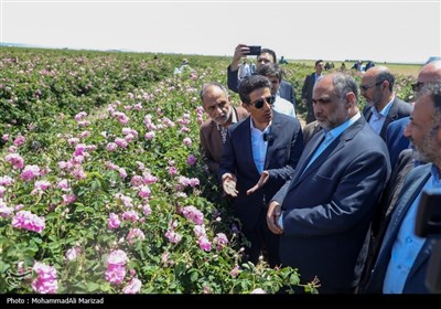 سفر وزیر جهاد کشاورزی به قم- عکس صفحه استان تسنیم