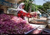 Iran Is World’s Top Exporter of Damask Rose, Rosewater