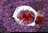 Iran Exports 221 Tons of Saffron to 55 Countries in A Year