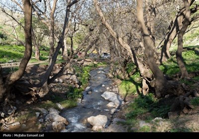 Весенняя природа Ирана - город Урмия