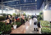 بیست و یکمین نمایشگاه بین‌المللی گل و گیاه -مشهد