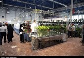 بیست و یکمین نمایشگاه بین‌المللی گل و گیاه -مشهد