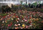 بیست و یکمین نمایشگاه بین‌المللی گل و گیاه -مشهد