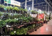 بیست و یکمین نمایشگاه بین‌المللی گل و گیاه -مشهد