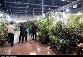 بیست و یکمین نمایشگاه بین‌المللی گل و گیاه -مشهد