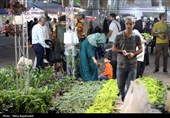 بیست و یکمین نمایشگاه بین‌المللی گل و گیاه -مشهد