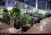 بیست و یکمین نمایشگاه بین‌المللی گل و گیاه -مشهد