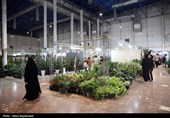 بیست و یکمین نمایشگاه بین‌المللی گل و گیاه -مشهد