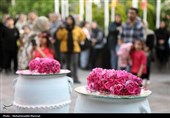 هشدار سازمان غذا و دارو: عرقیات فاقد مجوز بهداشتی نخرید