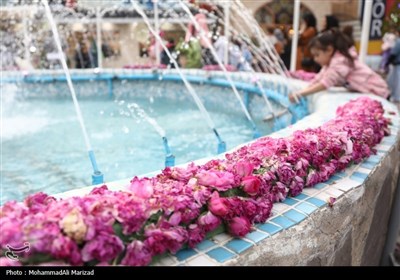 جشنواره گل و گلاب در محلات