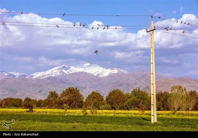 Весенняя природа в Иране - город Селселе в провинции Лорестан