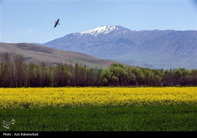 Весенняя природа в Иране - город Селселе в провинции Лорестан