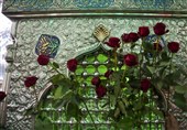 جشن میلاد امام رئوف در شاهچراغ برگزار می‌شود