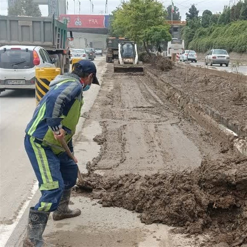  وقتی نهال‌ها به سرقت می‌روند/بی‌توجهی به فضای سبز در زابل 