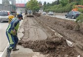 وقتی نهال‌ها به سرقت می‌روند/بی‌توجهی به فضای سبز در زابل