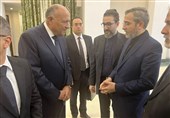 رایزنی «علی باقری» با وزیر خارجه مصر