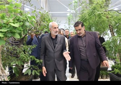 بازدید استاندار مازندران از نمایشگاه گل و گیاه - ساری
