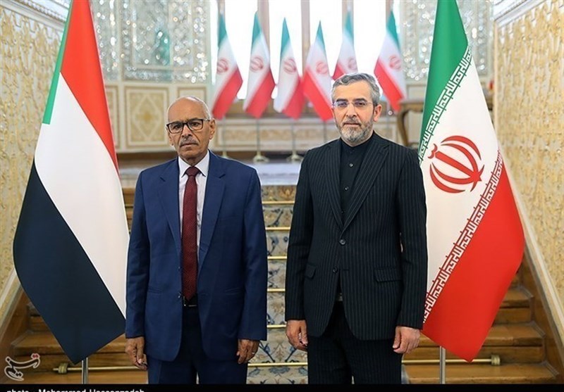 Встреча министра иностранных дел Судана с исполняющим обязанности МИД Ирана