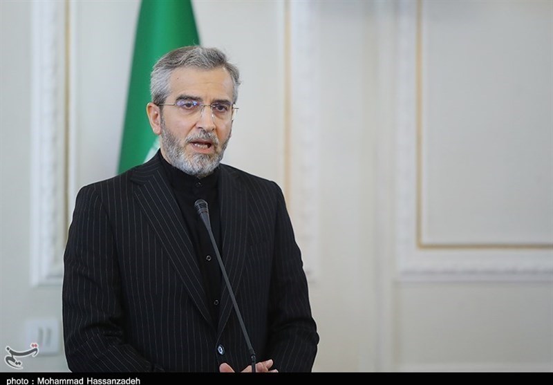 SNSC Overseeing Iran’s Nuclear Activities: Caretaker FM