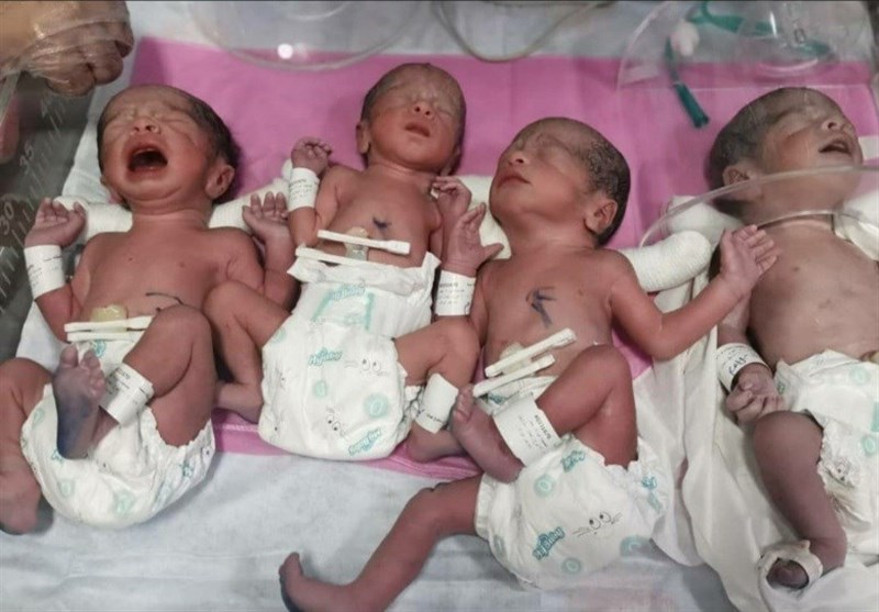 تولد چهارقلوهای مشهدی در هفته 33 بارداری + فیلم