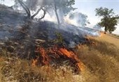 آتش‌سوزی در اراضی منطقه حفاظت‌شده هفت شهیدان