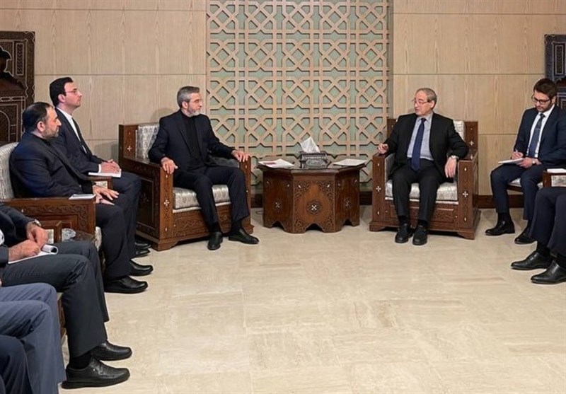 علی باقری یلتقی وزیر الخارجیة السوری
