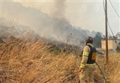 آتش‌سوزی گسترده در مزارع گندم شورین
