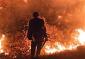 آتش‌سوزی در یک گاوداری اصفهان