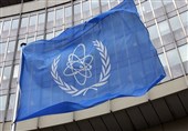Atom Enerjisi Kurumu&apos;nu Teknik Bir Teşkilattan Politik Bir Yapıya Dönüştüren Faktörler