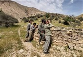 سقوط یک محیط‌بان در منطقه کوهستانی بیرمی تنگستان