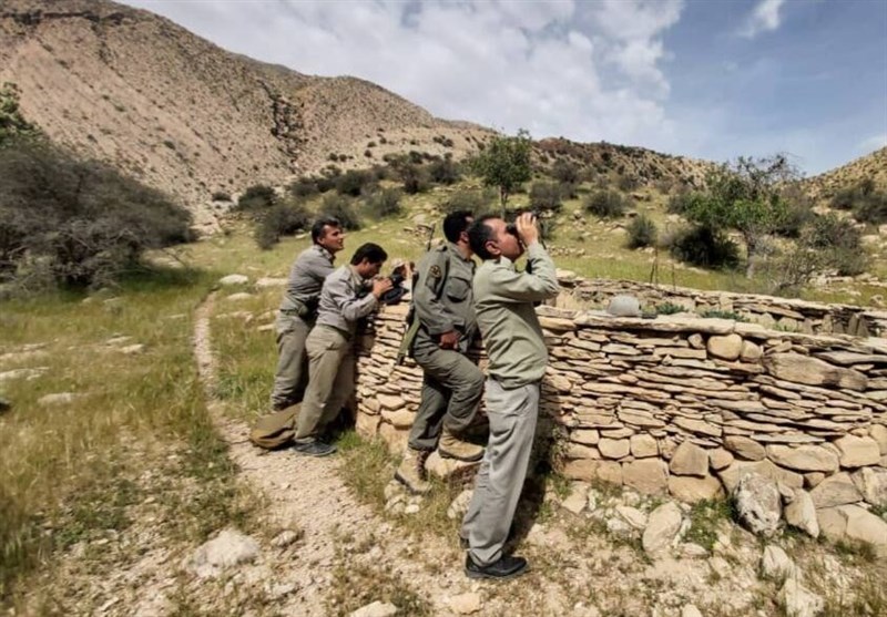 سقوط یک محیط‌بان در منطقه کوهستانی بیرمی تنگستان