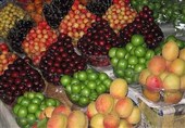 آشفته‌بازار میوه و تره‌بار شیراز