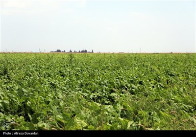 اردوی راهیان پیشرفت در اردبیل