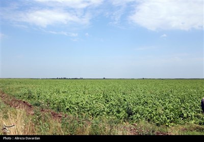 اردوی راهیان پیشرفت در اردبیل